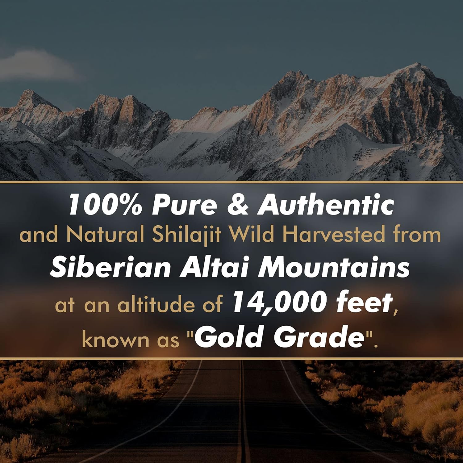 Original Pure Shilajit Resin w - Shilajit Resin Pure ulasan dan harga