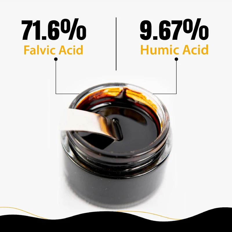Pure Himalayan Shilajit Resin, - Shilajit Resin Pure ulasan dan harga